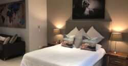 Studio Apartment for Sale: Sandown: Sandton