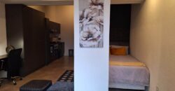 Fully Furnished Studio Apartment for Rent in Sandown: Sandton