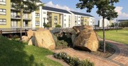 1 Bedroom Apartment for Rent: Linbro Park: Sandton