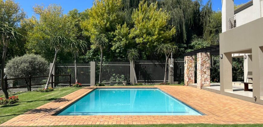 Studio Apartment for Rent: Paulshof: Sandton