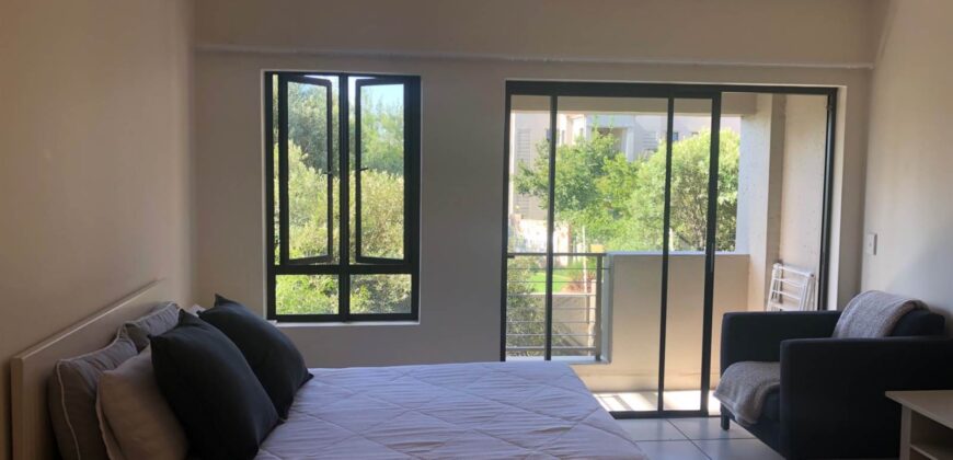 Studio Apartment for Rent: Paulshof: Sandton