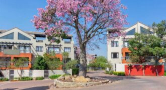 2 Bedroom Loft Apartment for Sale: Lonehill: Sandton